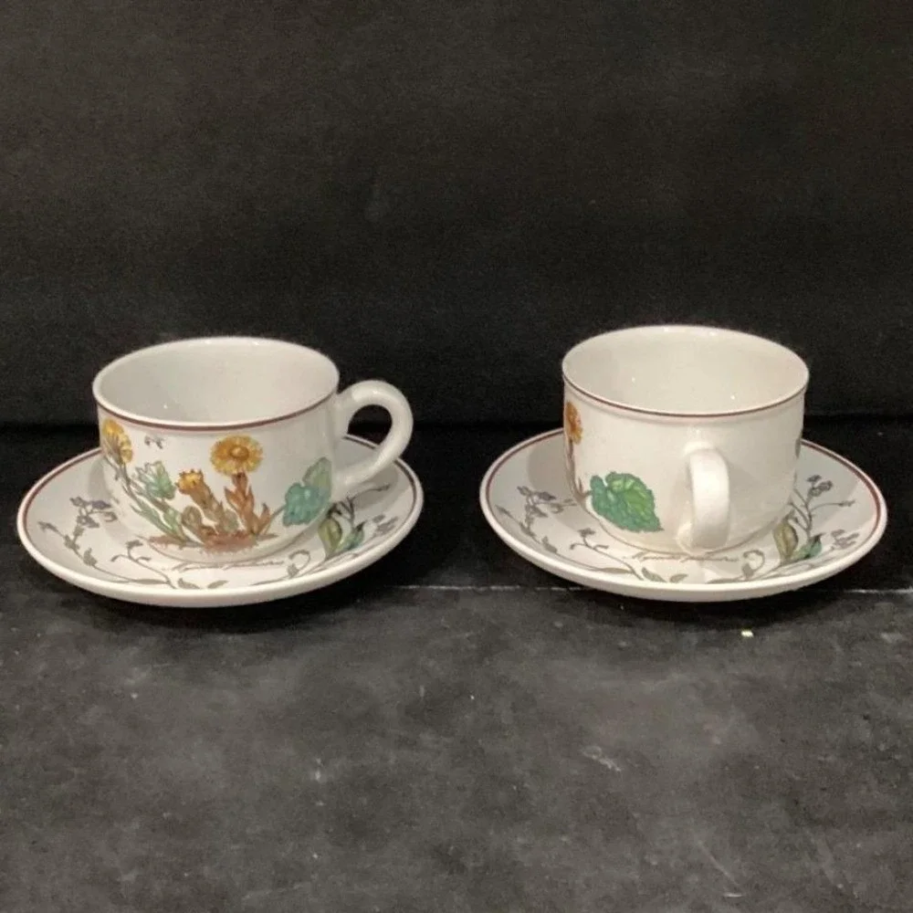 Villeroy & Boch Botanica Teacup and Saucers, Set of 2, Vintage Botanical Design